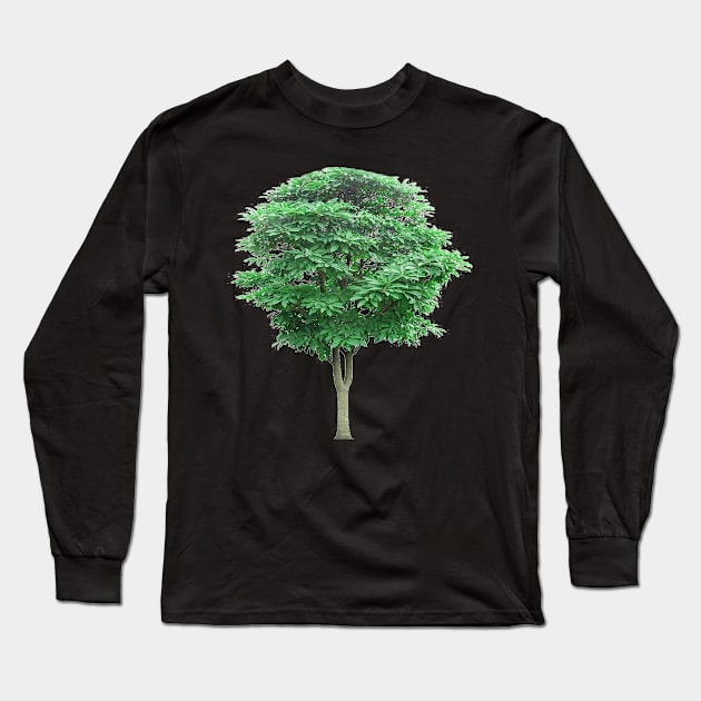 Green leafed tree, Tree Lindens Long Sleeve T-Shirt by MADISON NICHOLAS